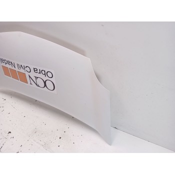 Recambio de capot para renault kangoo express (fw0/1_) 1.5 dci 70 (fw0a, kw0v) referencia OEM IAM 651003220R  