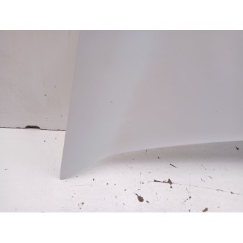 Recambio de capot para renault kangoo express (fw0/1_) 1.5 dci 70 (fw0a, kw0v) referencia OEM IAM 651003220R  