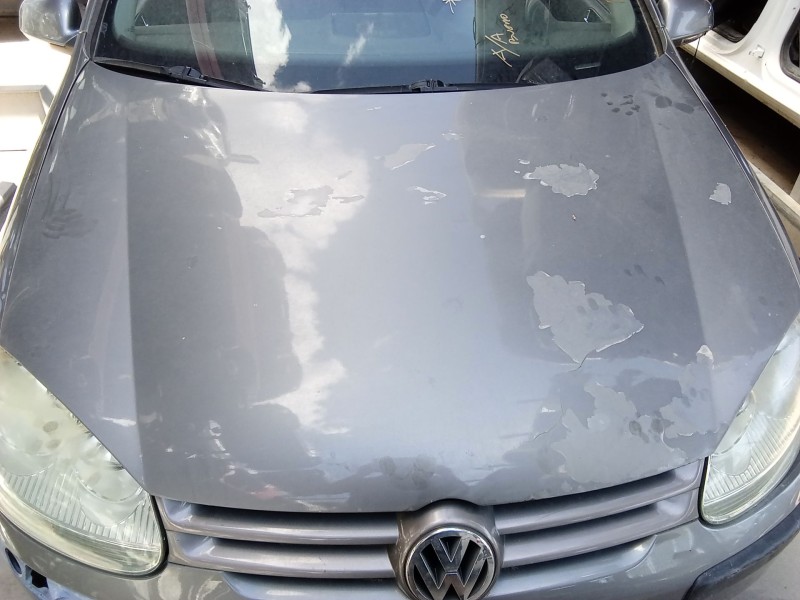 Recambio de capot para volkswagen golf v (1k1) 1.9 tdi referencia OEM IAM   