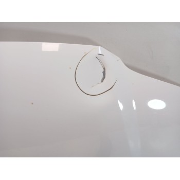 Recambio de capot para volkswagen caddy iii monospace (2kb, 2kj, 2cb, 2cj) 2.0 sdi referencia OEM IAM   