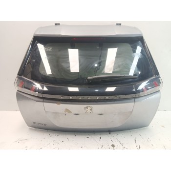 PORTON TRASERO 9831045880 