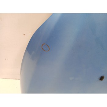 Recambio de capot para ford fiesta vi (cb1, ccn) 1.4 tdci referencia OEM IAM 100105622  