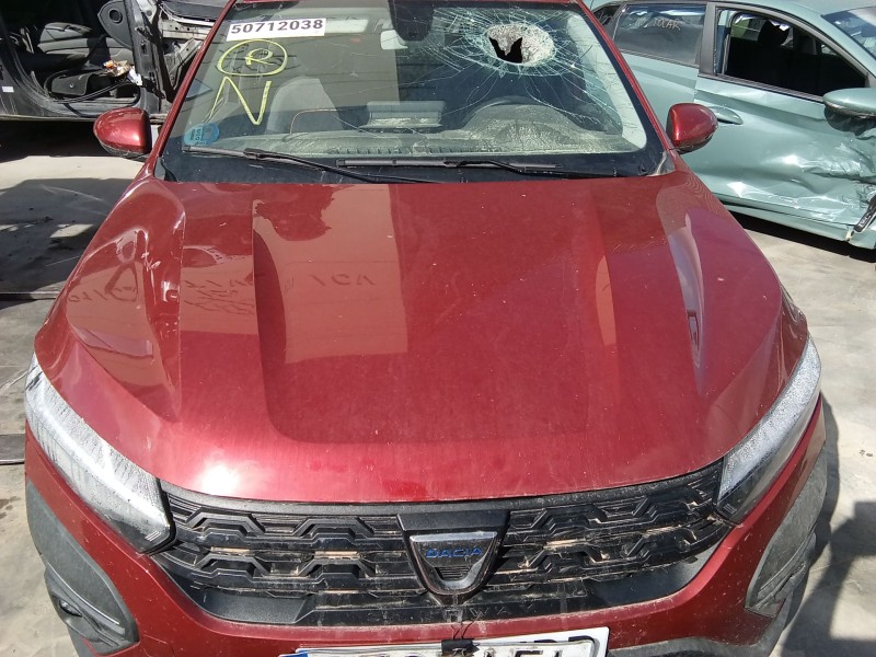 Recambio de capot para dacia sandero iii 1.0 tce 90 referencia OEM IAM 651004113R  