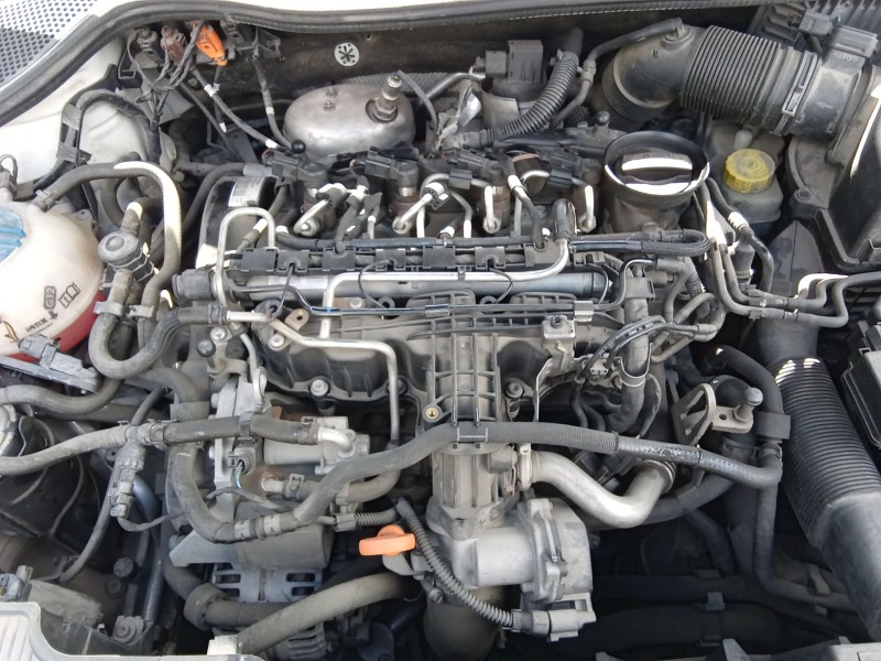 Recambio de motor completo para seat ibiza iv (6j5, 6p1) 1.6 tdi referencia OEM IAM VERE7906 / 03L100090CX  