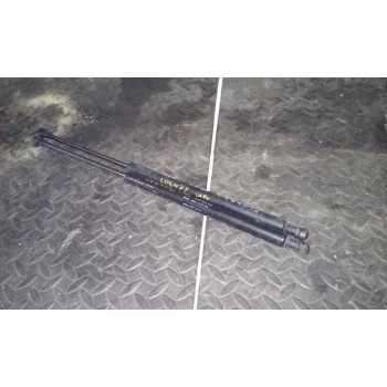 AMORTIGUADORES CAPO 9629618980 1ª SERIE X2 300N 47.5 CM