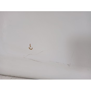 Recambio de puerta trasera izquierda para toyota yaris (_p13_) 1.5 hybrid (nhp130_) referencia OEM IAM 670040D210  