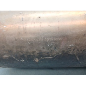 Recambio de filtro de particulas para citroën c4 picasso referencia OEM IAM 1476463XXX  