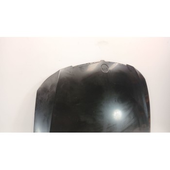 Recambio de capot para bmw 3 (e90) 318 d referencia OEM IAM 41617140729  