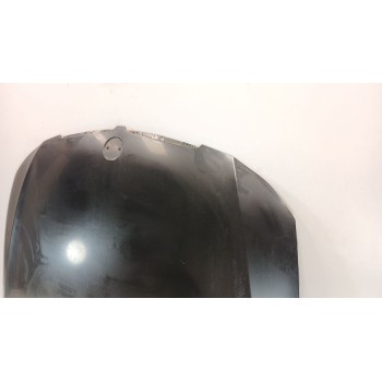 Recambio de capot para bmw 3 (e90) 318 d referencia OEM IAM 41617140729  