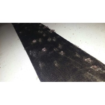 Recambio de cinturon seguridad delantero izquierdo para renault kangoo (f/kc0) authentique referencia OEM IAM TRW1543594  