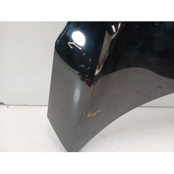 Recambio de capot para renault scenic iii bose edition referencia OEM IAM 651008842R  