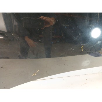 Recambio de capot para renault scenic iii bose edition referencia OEM IAM 651008842R  