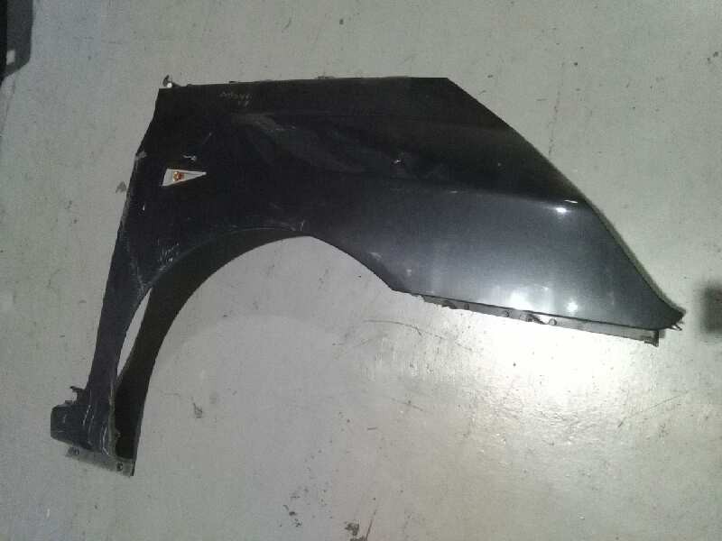 Recambio de aleta delantera derecha para renault espace iv (jk0) referencia OEM IAM  GRIS ROZADA