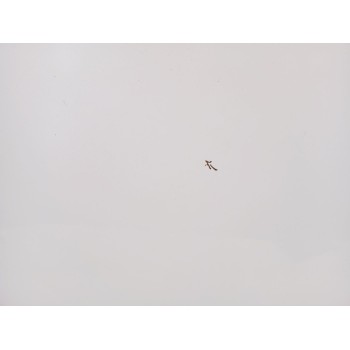 Recambio de capot para hyundai i40 i cw (vf) 1.7 crdi referencia OEM IAM 664003Z000  66400-3Z000