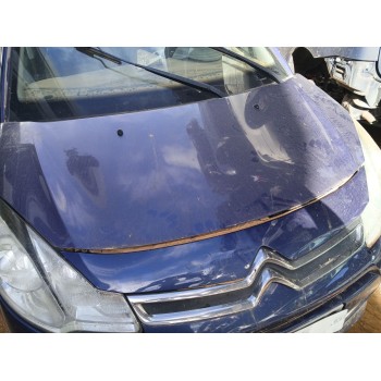 Recambio de capot para citroën c3 ii (sc_) 1.4 hdi 70 (sc8hzc, sc8hr0, sc8hp4) referencia OEM IAM   