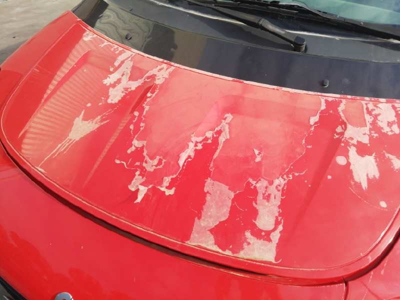 Recambio de capot para smart forfour forfour 47 kw referencia OEM IAM  ROJO PARA PINTAR 