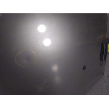 Recambio de capot para peugeot 206+ básico referencia OEM IAM  PINTURA MAL 