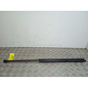 AMORTIGUADORES MALETERO / PORTON 46824070 