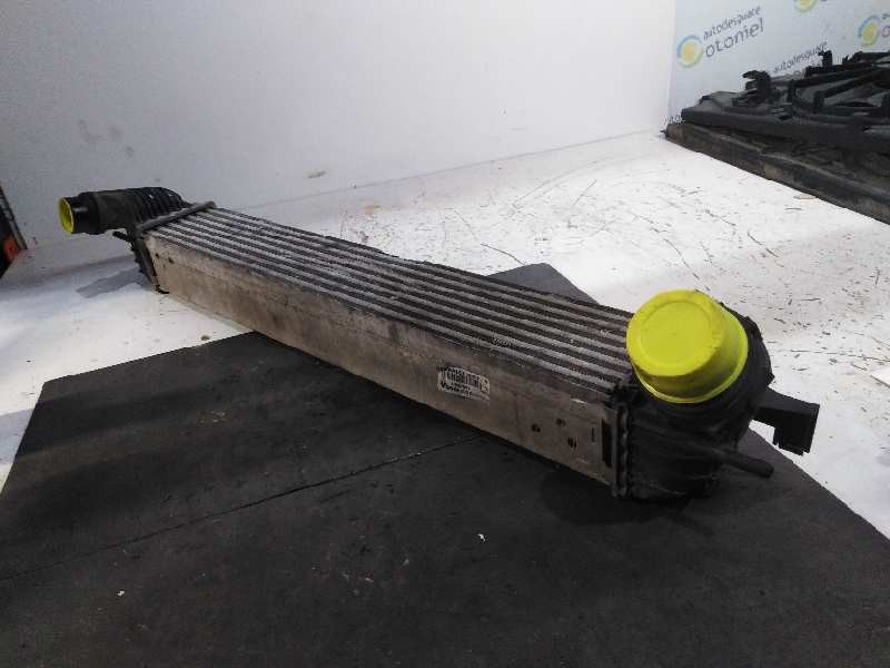 Recambio de intercooler para renault laguna iii authentique referencia OEM IAM   