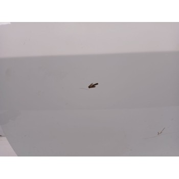 Recambio de puerta trasera izquierda para fiat freemont (345_) 2.0 jtd referencia OEM IAM 00K68067473AI  