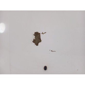 Recambio de capot para ford transit connect (tc7) 1.8 tdci cat referencia OEM IAM  2 SERIE 