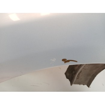 Recambio de aleta delantera izquierda para seat ibiza iii (6l1) 1.4 tdi referencia OEM IAM 6L0821021C  