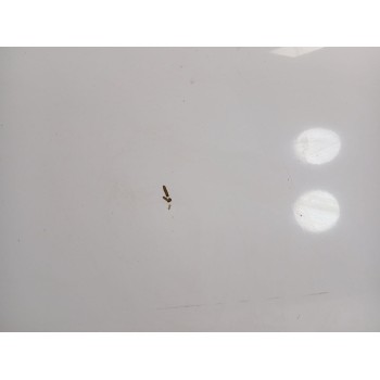 Recambio de capot para ford transit connect (tc7) 1.8 tdci cat referencia OEM IAM  2 SERIE 