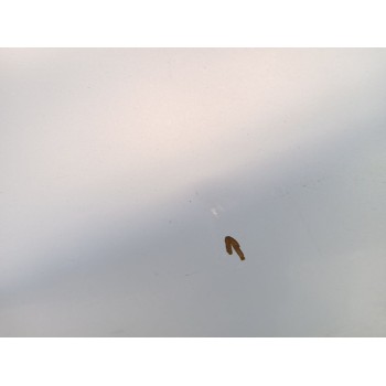 Recambio de aleta delantera izquierda para seat ibiza iii (6l1) 1.4 tdi referencia OEM IAM 6L0821021C  