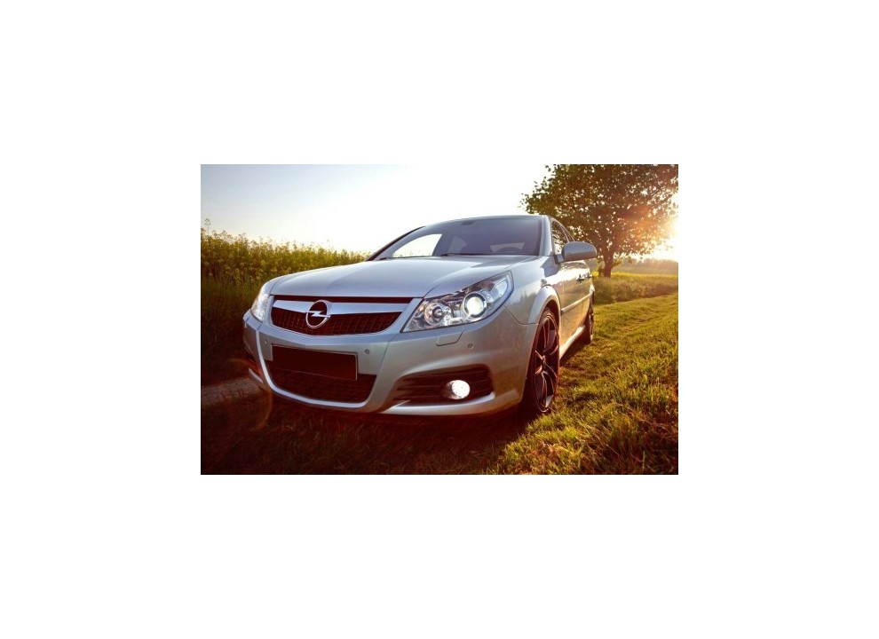 Comprar motor de Opel Insignia 2.0 CDTI de desguace